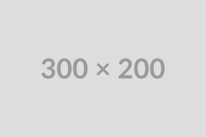 Advertisement Placeholder